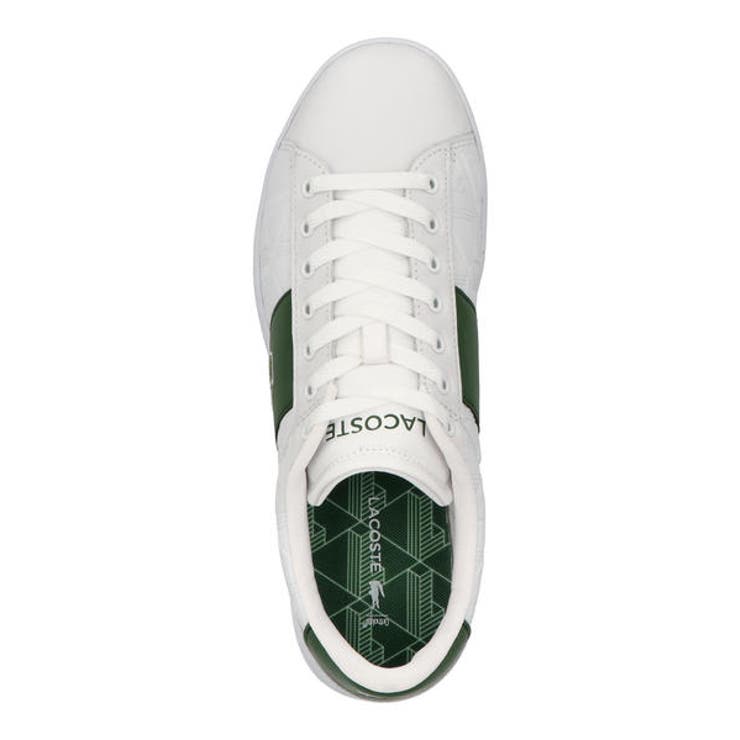 LACOSTE ラコステ CARNABY | ASBee  | 詳細画像5 