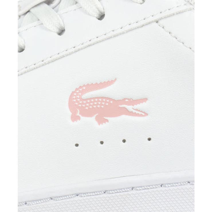 LACOSTE ラコステ COURT | ASBee  | 詳細画像9 