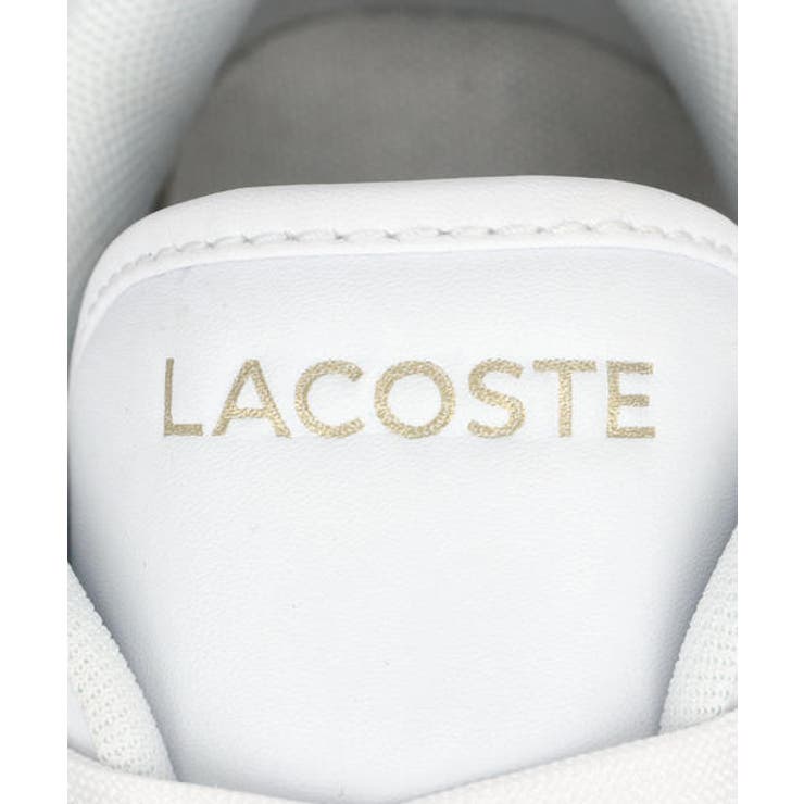 LACOSTE ラコステ T | ASBee  | 詳細画像7 