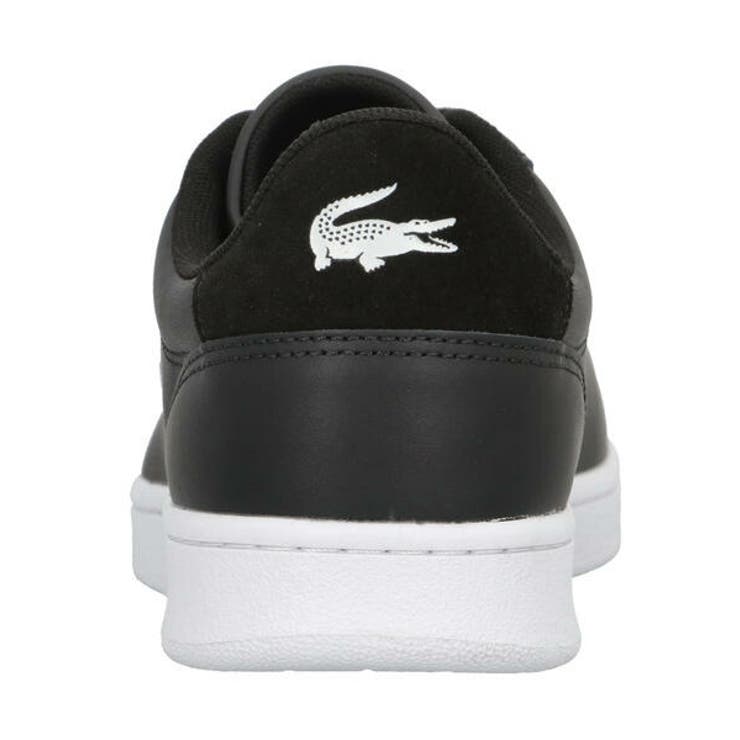 LACOSTE ラコステ CARNABY | ASBee  | 詳細画像8 