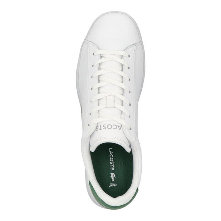 LACOSTE ラコステ CARNABY | ASBee  | 詳細画像5 