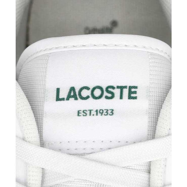 LACOSTE ラコステ T | ASBee  | 詳細画像7 
