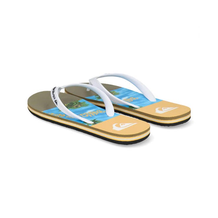 QUIKSILVER クイックシルバー MOLOKAI | ASBee  | 詳細画像2 