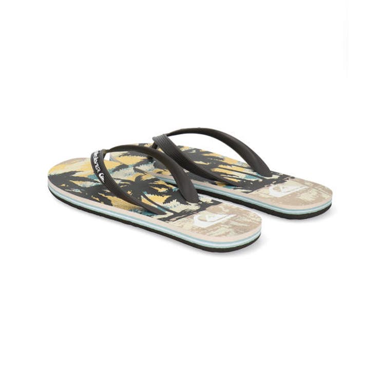 QUIKSILVER クイックシルバー MOLOKAI | ASBee  | 詳細画像2 