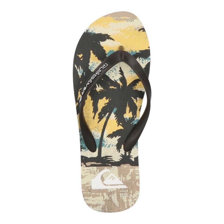 QUIKSILVER クイックシルバー MOLOKAI | ASBee  | 詳細画像5 