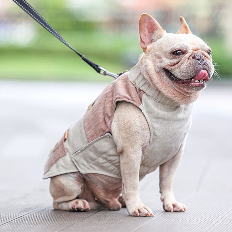 秋冬用犬服