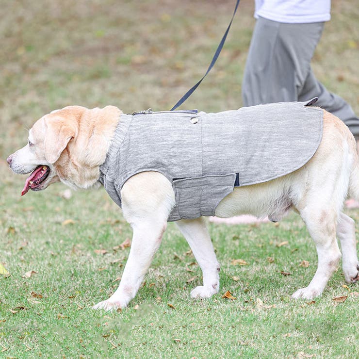 秋冬用犬服