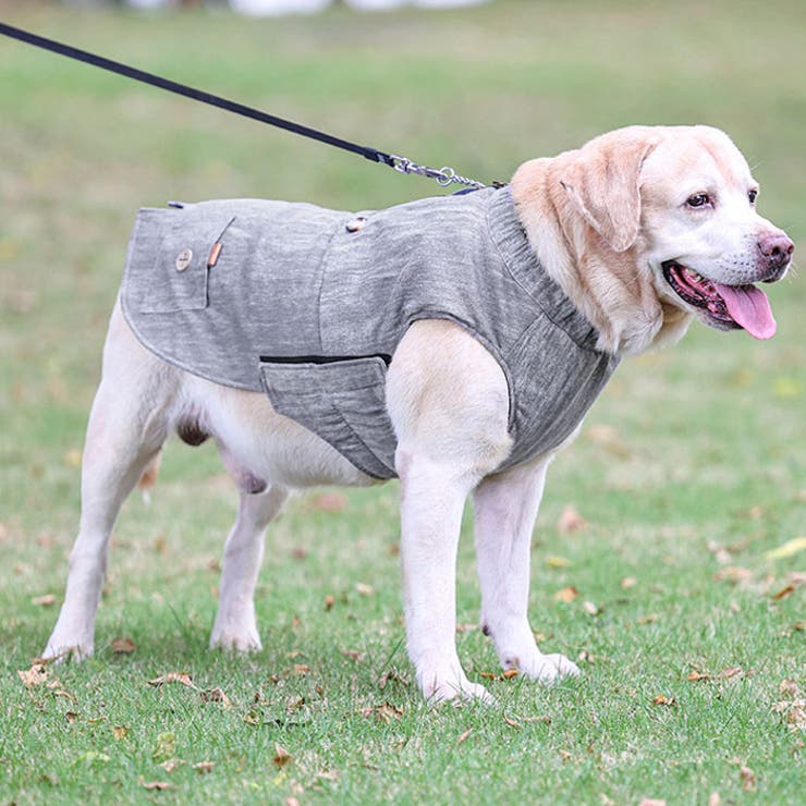 秋冬用犬服