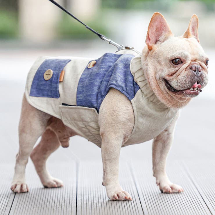 秋冬用犬服
