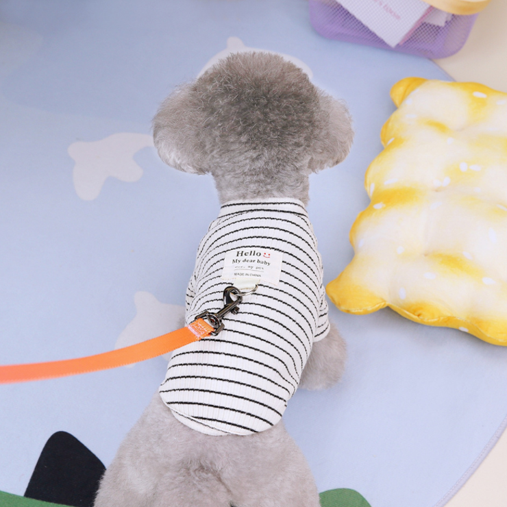 犬服 小型犬 ボーダー[品番：WBAW0002373]｜Gain-Mart（ゲイン