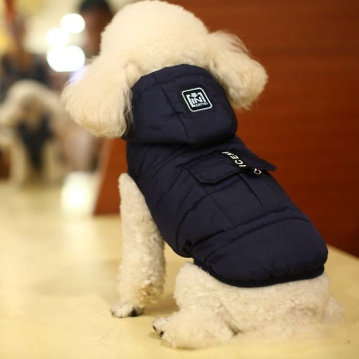 犬 服 ドッグウェア | Gain-Mart | 詳細画像4 