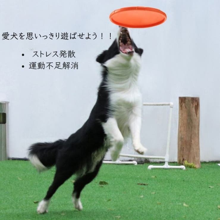 犬 フリスビー 15cm | Gain-Mart | 詳細画像2 