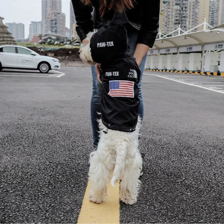 犬服 レインコート THE | Gain-Mart | 詳細画像11 