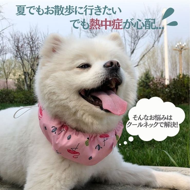 samoyed ポンチョ トレンチコート 優待価格[Priority]ポンチョ型トレンチ | KOBUNSHA SELECT SHOP