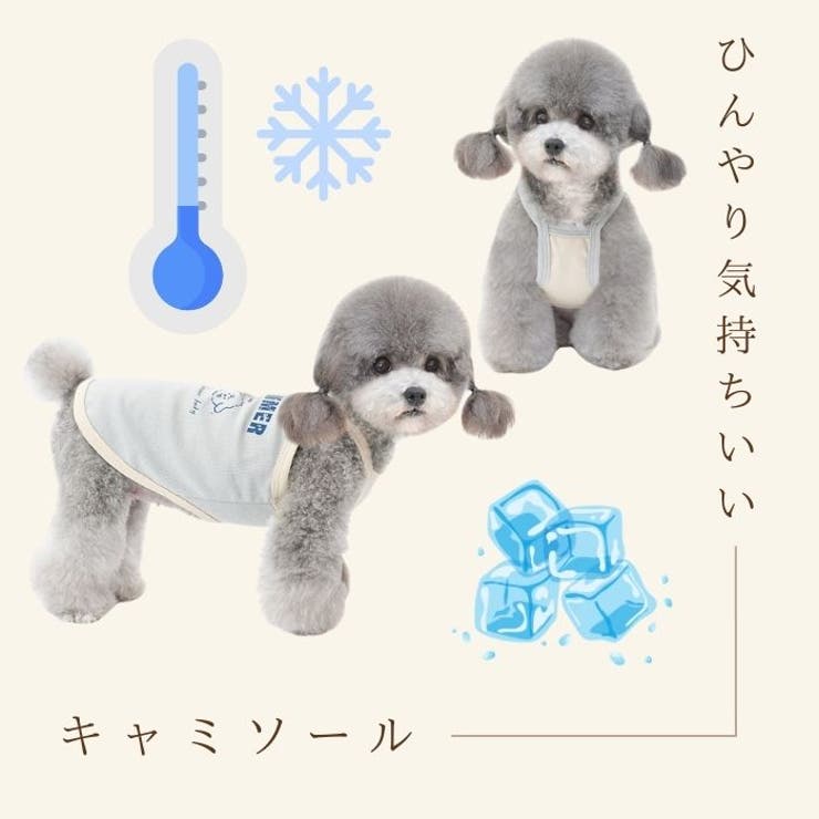犬 犬服 クール | Gain-Mart | 詳細画像5 