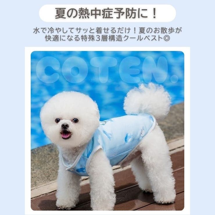 犬 クールベスト 夏服 | Gain-Mart | 詳細画像2 