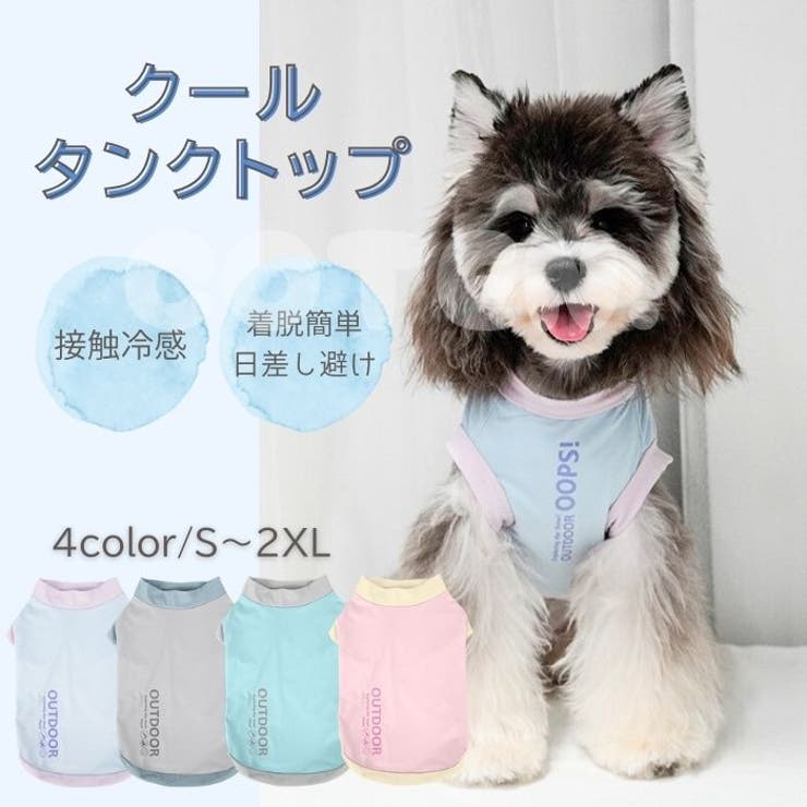 超美品‼️冬冬(トントン)の夏休み('84台湾) 一個即便是零下二十度也能感受到温暖的地方#雾凇漂流#长白山