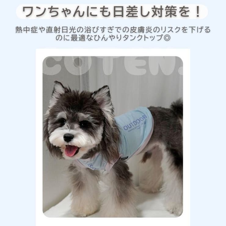 犬 夏服 クール | Gain-Mart | 詳細画像2 