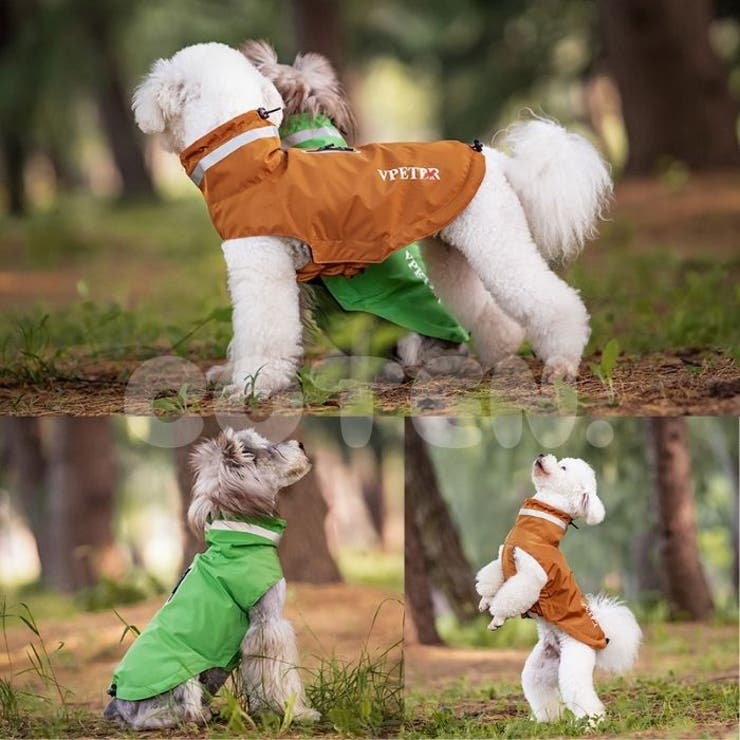 犬 レインコート ポンチョ | Gain-Mart | 詳細画像10 