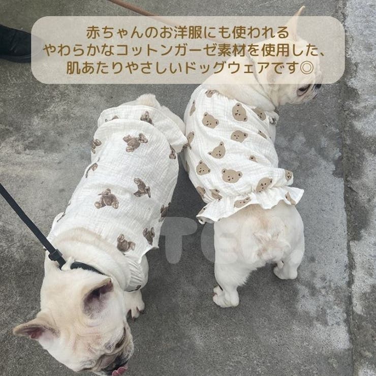 犬 服 コットン | Gain-Mart | 詳細画像2 