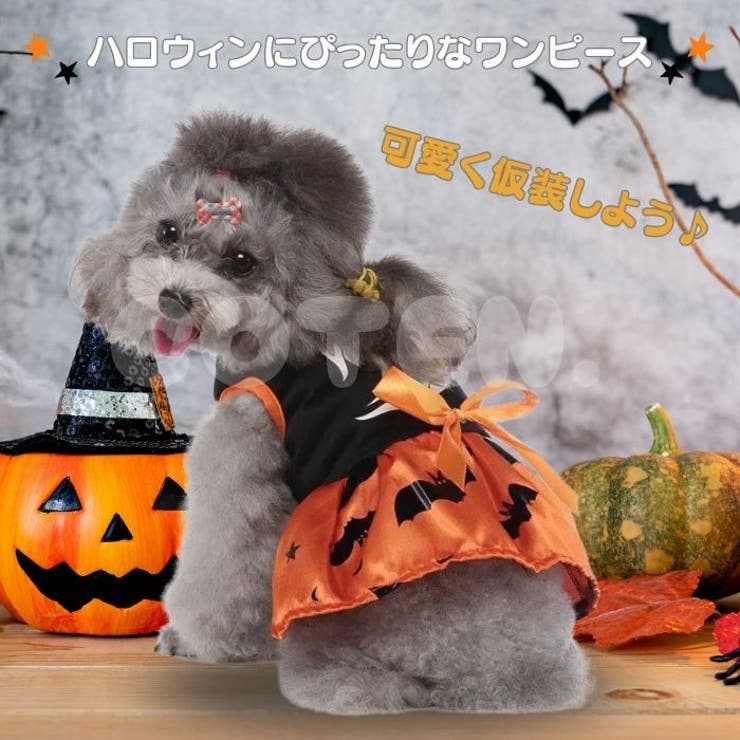 犬 猫 ハロウィン | Gain-Mart | 詳細画像2 