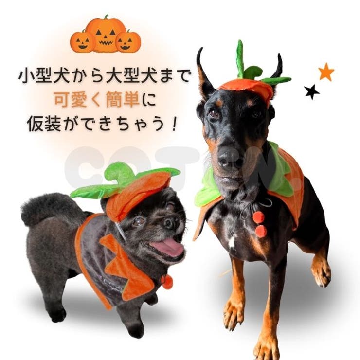 犬 猫 ハロウィン | Gain-Mart | 詳細画像2 