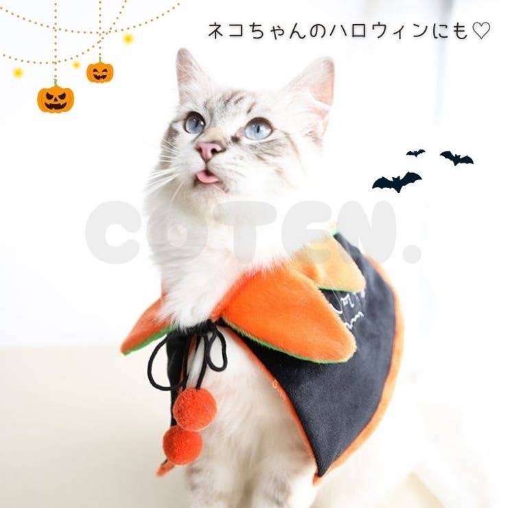 犬 猫 ハロウィン | Gain-Mart | 詳細画像3 