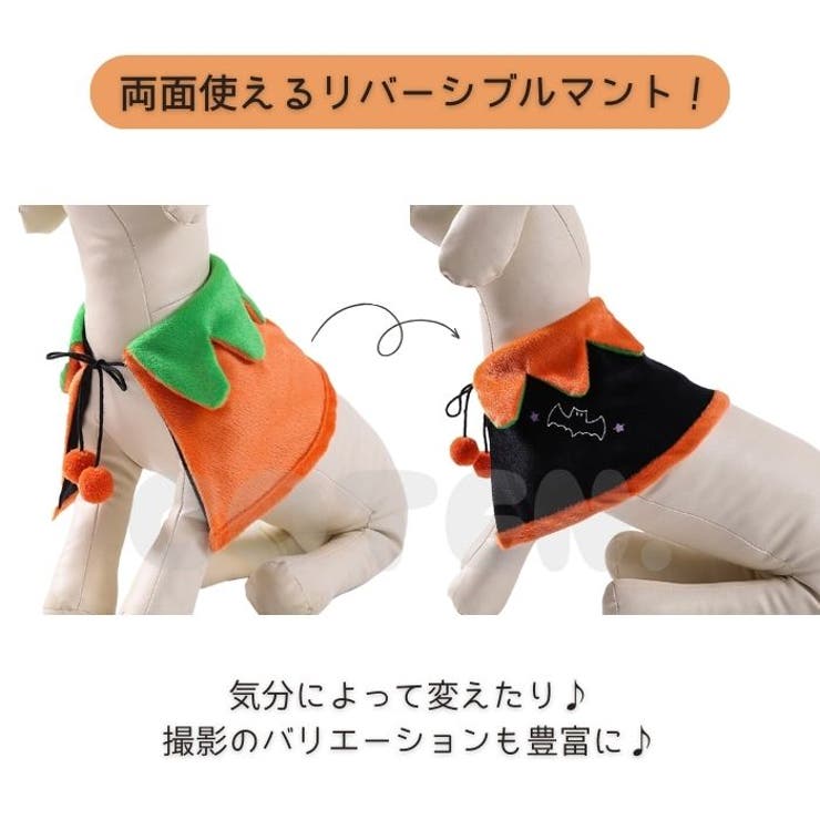 犬 猫 ハロウィン | Gain-Mart | 詳細画像4 