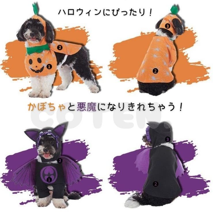犬 猫 ハロウィン | Gain-Mart | 詳細画像2 