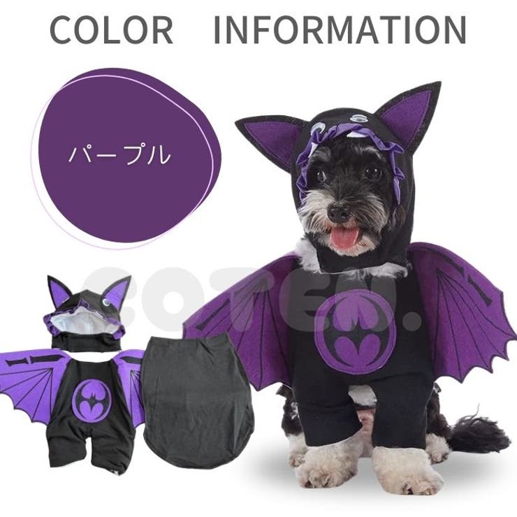 犬 猫 ハロウィン | Gain-Mart | 詳細画像9 
