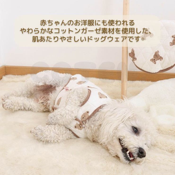 犬 服 秋 | Gain-Mart | 詳細画像2 