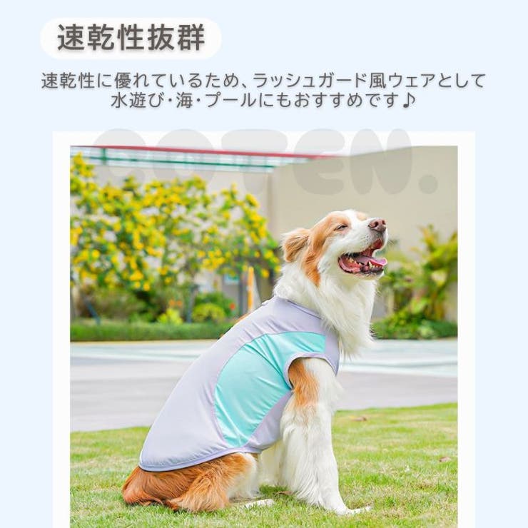 犬 夏服 クール | Gain-Mart | 詳細画像5 