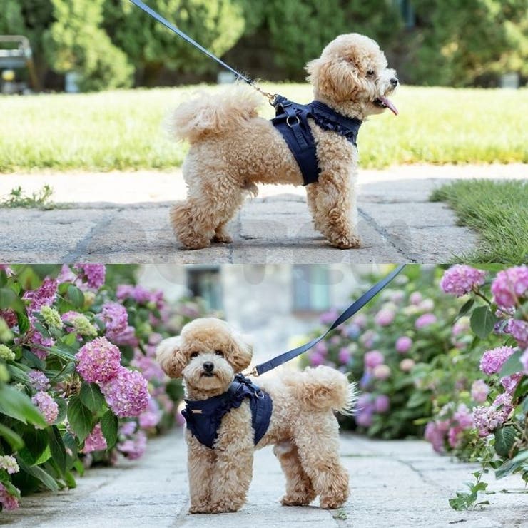 犬 ハーネス リード | Gain-Mart | 詳細画像8 