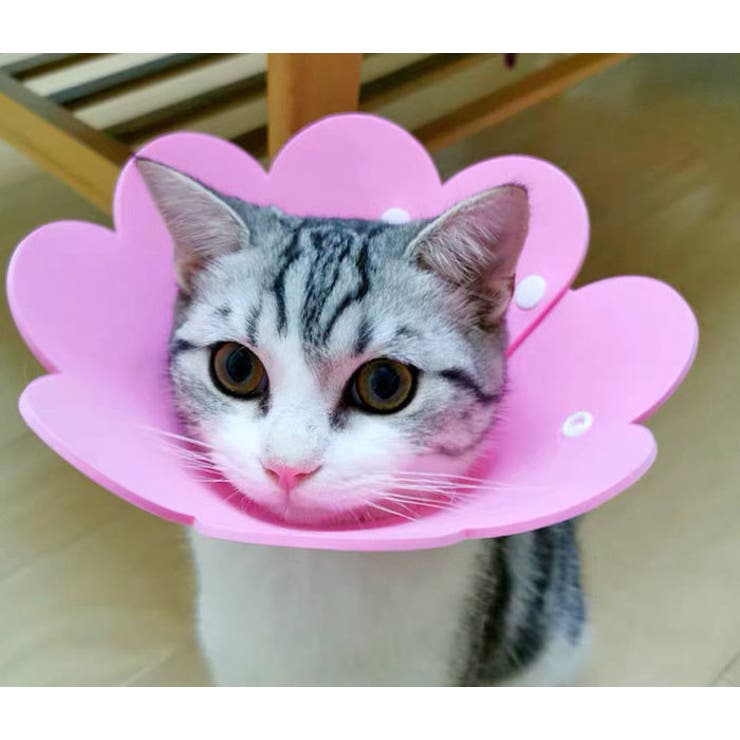 ペット ソフト エリザベスカラー | Gain-Mart | 詳細画像6 