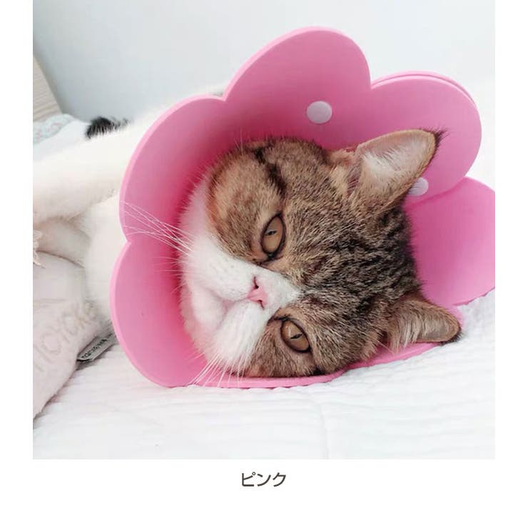 ペット ソフト エリザベスカラー | Gain-Mart | 詳細画像10 