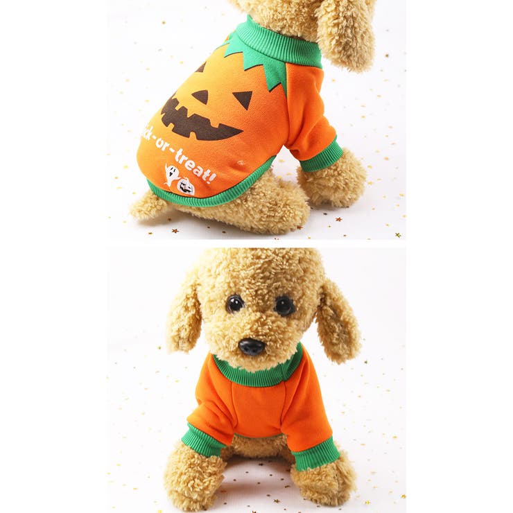 犬服  ラグラン(M)   ꒡̈⃝Lily꒡̈⃝ハンドメイド   ハロウィン 犬服 ラグラン(M) ꒡̈⃝Lily꒡̈⃝ハンドメイド ハロウィン