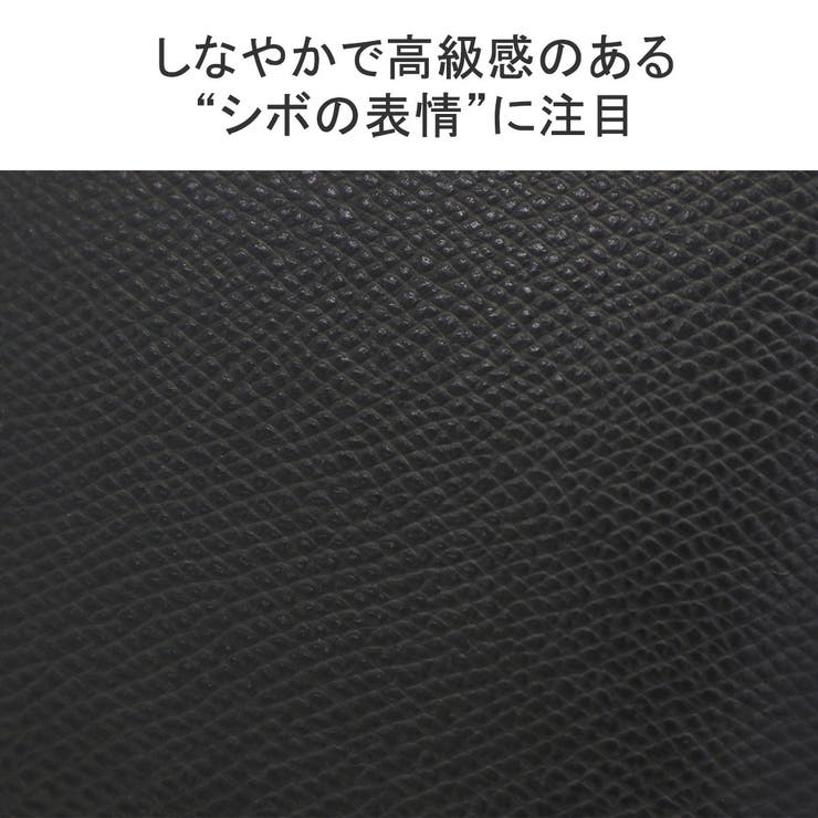 正規取扱店 アニアリ aniary | ギャレリア Bag＆Luggage | 詳細画像8 