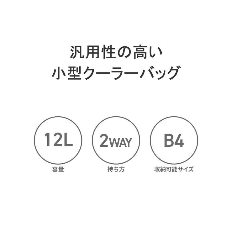 日本正規品 ブリーフィング クーラーバッグ | ギャレリア Bag＆Luggage | 詳細画像6 