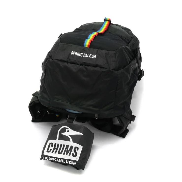 日本正規品 チャムス リュック | ギャレリア Bag＆Luggage | 詳細画像30 