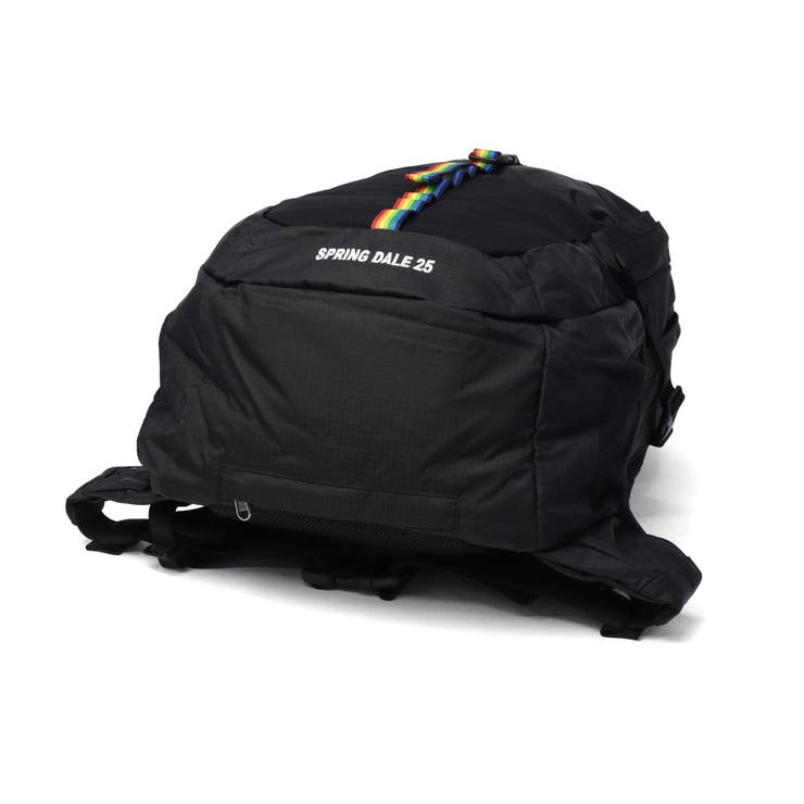 日本正規品 チャムス リュック | ギャレリア Bag＆Luggage | 詳細画像15 