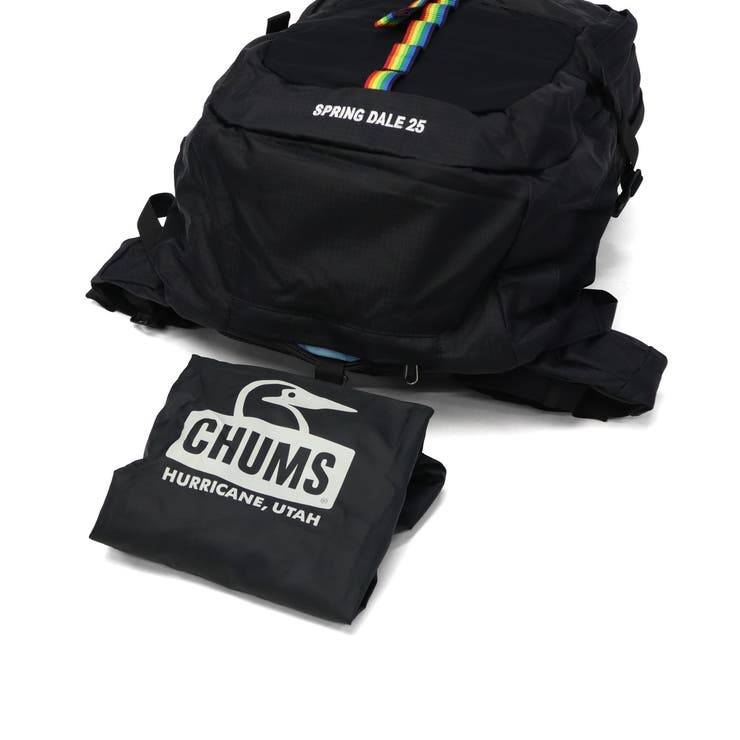 日本正規品 チャムス リュック | ギャレリア Bag＆Luggage | 詳細画像29 