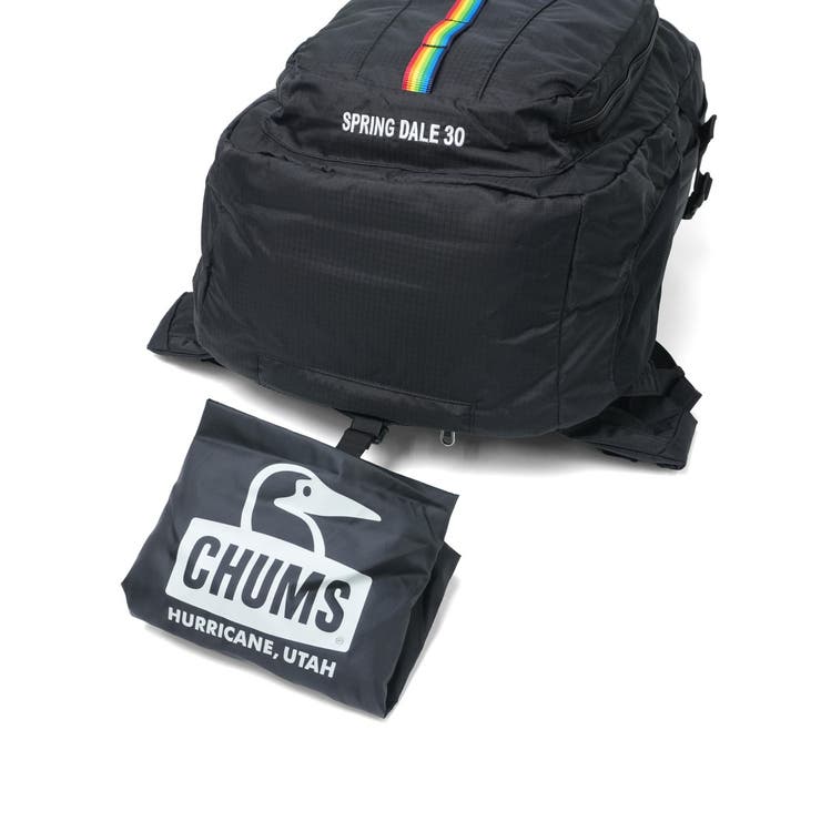 日本正規品 チャムス リュック | ギャレリア Bag＆Luggage | 詳細画像29 