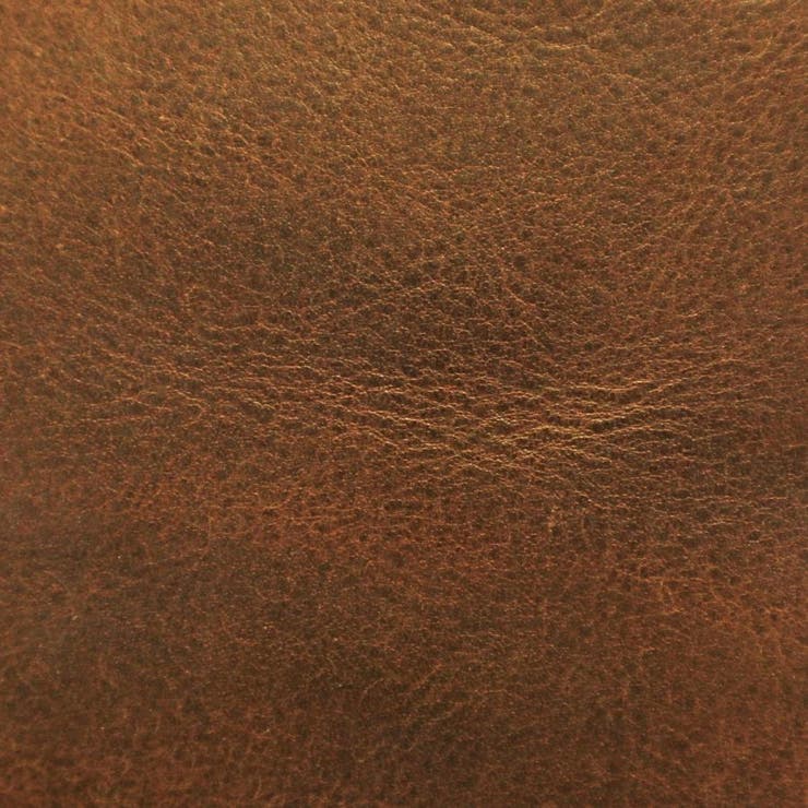 ダコタブラックレーベル 二つ折り財布 Dakota | ギャレリア Bag＆Luggage | 詳細画像12 