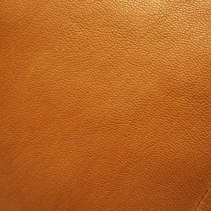 ダコタ トートバッグ Dakota | ギャレリア Bag＆Luggage | 詳細画像22 