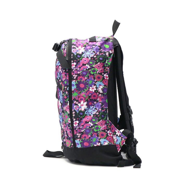 日本正規品 グレゴリー リュック | ギャレリア Bag＆Luggage | 詳細画像10 