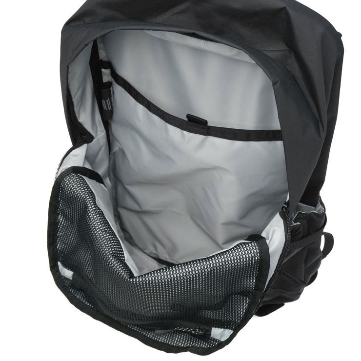 日本正規品 グレゴリー リュック | ギャレリア Bag＆Luggage | 詳細画像17 