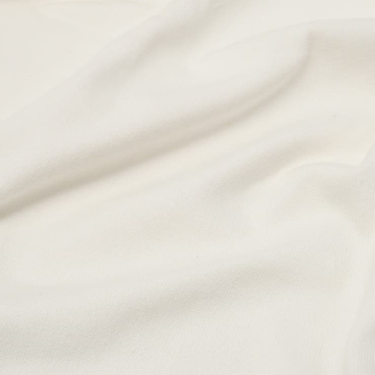 ヘインズ Tシャツ Hanes | ギャレリア Bag＆Luggage | 詳細画像14 