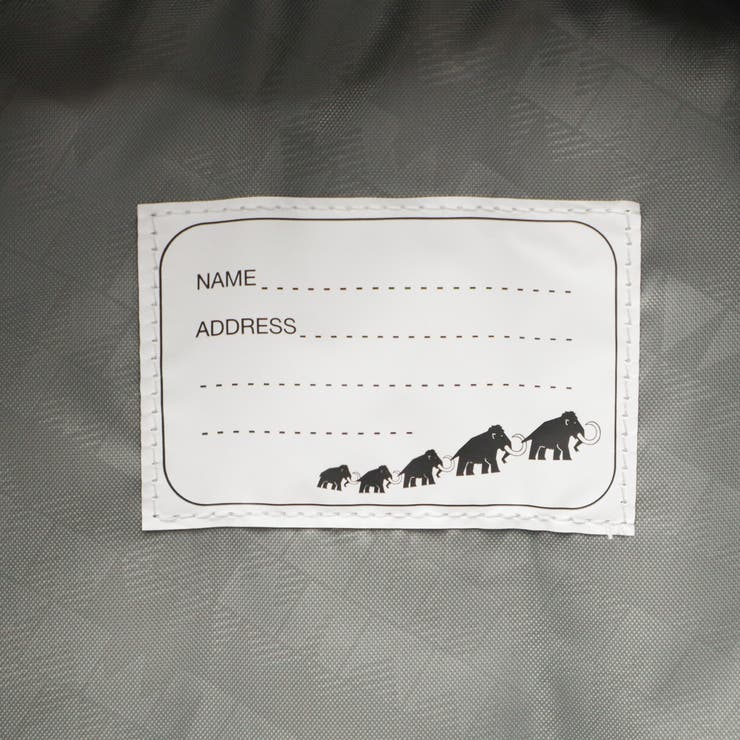 マムート リュック MAMMUT | ギャレリア Bag＆Luggage | 詳細画像21 