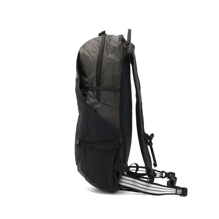 日本正規品 ザ ノース | ギャレリア Bag＆Luggage | 詳細画像11 