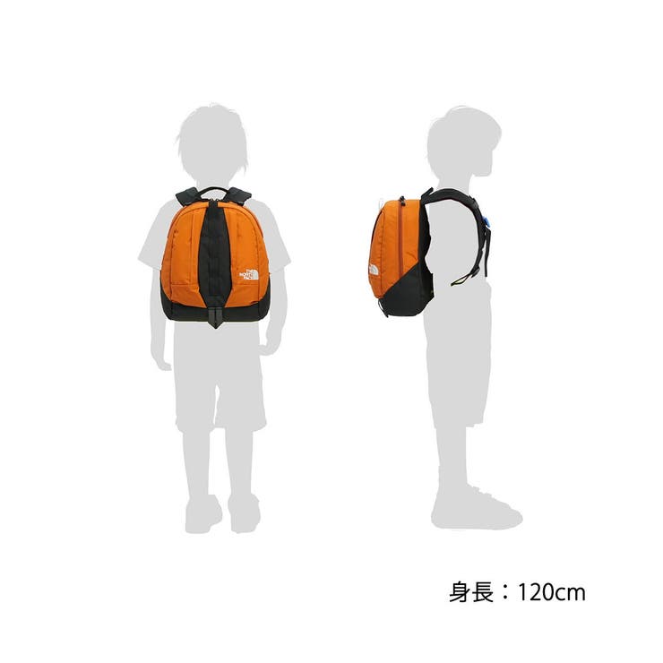 日本正規品 ザ ノース | ギャレリア Bag＆Luggage | 詳細画像8 